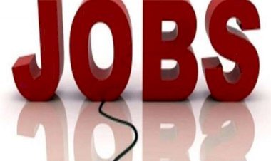 नौकरी गंवाने वालों के लिए सरकार का बड़ा ऐलान, अब मिलेगी 50 फीसदी सैलरी