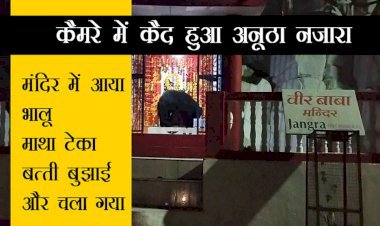 अद्भुत नजारा : भालू ने प्रतिमा के आगे नवाया शीश और लाइट बंद कर चला गया