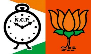 निवाई में एनसीपी के सिम्बल पर जीते सभी 17 प्रत्याशी बीजेपी में शामिल