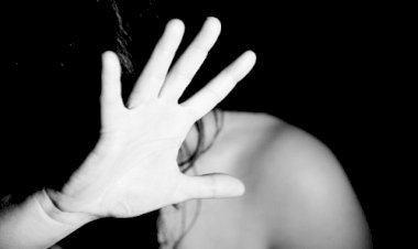 अलवर के खेडली पुलिस थाने  में परिवादी महिला से एसआई ने किया दुष्कर्म, विधानसभा में उपनेता प्रतिपक्ष ने उठाया मामला