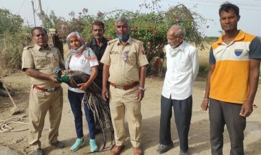 सिरोही जिले के कालंद्री थाना इलाके में हड़मतिया हनुमान मंदिर के नजदीक कुंए में गिरा राष्ट्रीय पक्षी, ग्रामीणों के सहयोग से वनकर्मियों ने निकाला बाहर