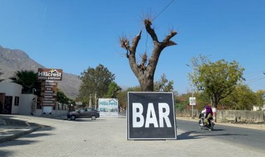 नेताजी की होटल के चलते तहसीलदार ने नियमों को ताक में रखकर हरे पेड़ों पर चलवा ​दी कुल्हाडी