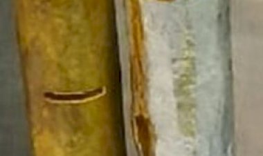 रेडियो की बैटरी में छिपाकर ला रहा था 347 ग्राम सोना,  जयपुर एयरपोर्ट पर कस्टम की सजगता से पकड़ा गया आरोपी