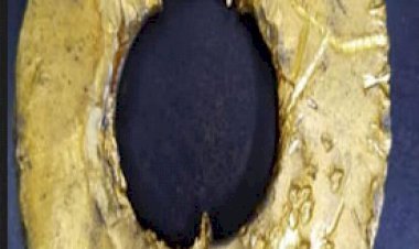 दुबई से मिक्सर की मोटर में छिपाकर ला रहा था 21 लाख का सोना, कस्टम ने किया जब्त