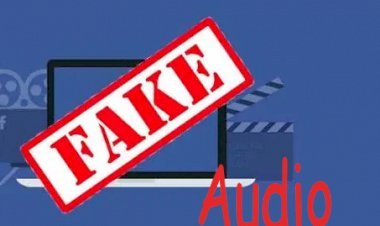 सोशल  मीडिया पर जालोर कलेक्टर के नाम से वायरल हो रहा है  ऑडियो