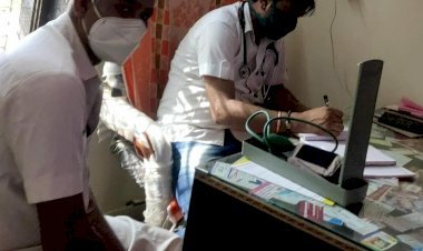 जालोर के रानीवाड़ा के पूजा अस्पताल में एक माह बाद भी झोलाछाप व्यक्ति कर रहा है लोगों का इलाज, चिकित्सा विभाग की बड़ी लापरवाही, बीसीएमओ ने दी थी क्लीन चिट,सीएमएचओ की जांच सवालों को घेरे में