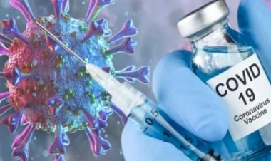 युवा वर्ग में कोरोना वैक्सीनेशन में लगेगा दिसंबर तक का समय