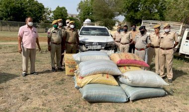सिरोही पुलिस ने लग्जरी कार से जब्त किया 350 किलो डोडा पोस्त, 100 किलोमीटर तक किया पीछा, बावजूद भाग निकले तस्कर