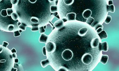 फ्रांस ने ब्रिटेन से आने वाले लोगों पर क्वारेंटाइन का लगाया अनिवार्य नियम