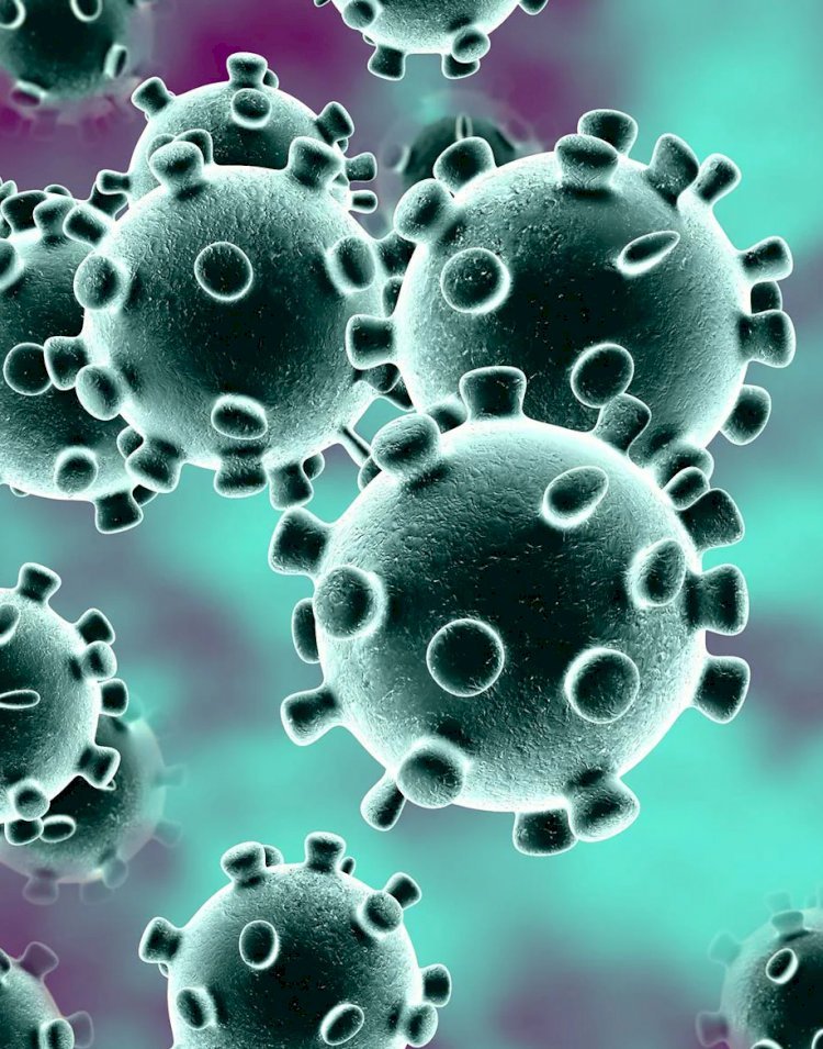 विश्व की 70 फीसदी आबादी को टीका लगने के बाद ही समाप्त हो सकता है कोरोना वायरस:WHO