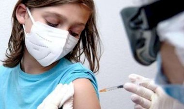 अमेरिकी कंपनी फाइजर की वैक्सीन बच्चों में लगाने की तैयारी, कोवैक्सीन पर किया जा रहा है ट्रायल