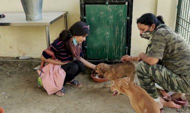 भूखे प्यासे  पशु— पक्षियों की मदद कर मिसाल बनी सिरोही की बे​टी Nisha Gulabwani