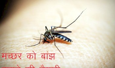 विश्व में मच्छरों से सालाना 10 लाख लोगों की होती हैं मौत, अब मच्छरों की आबादी को काबू में करने की तैयारी