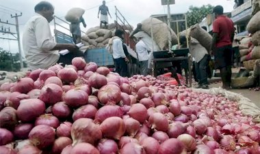 किसानों को प्याज के बाजार में दिख रहा बड़ा फायदा, अफगानिस्तान से प्याज भारत आना अब मुश्किल
