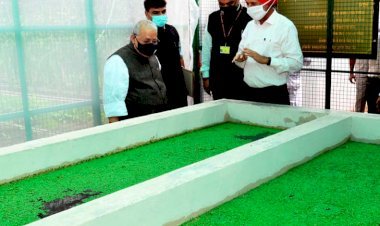 राजस्थान के राज्यपाल ने राजभवन उद्यान में बूंद-बूंद सिंचाई, अजोला एवं वर्मीकम्पोस्ट इकाइयों का किया उद्घाटन