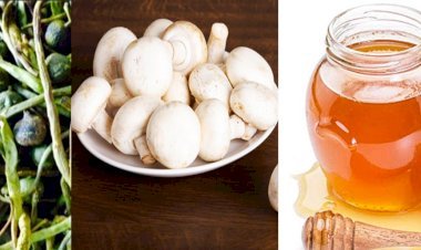 प्रदेश में केर-सांगरी, मशरूम और शहद को प्रोत्साहित करने के लिए अब किए जाएंगे विशेष प्रयास