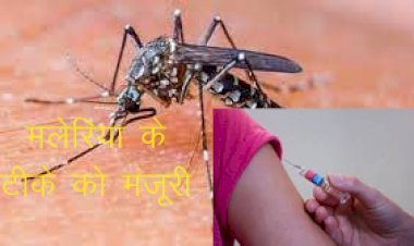 विश्व स्वास्थ्य संगठन ने मलेरिया के टीके को दी मंजूरी, सबसे पहले अफ्रीकी देशों से शुरूआत
