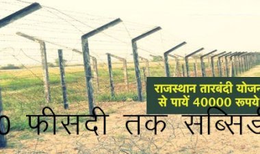 राजस्थान में फसलों को आवारा मवेशियों से बचाने के लिए सरकार की तारबंदी योजना कारगर, तार लगाने में मिलेगी 50 फीसदी तक सब्सिडी