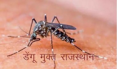 मौसमी बीमारियों पर काबू पाने के लिए चिकित्सा मंत्री ने प्रदेश  में 20 अक्टूबर से ‘डेंगू मुक्त राजस्थान‘ अभियान चलाने के दिए निर्देश