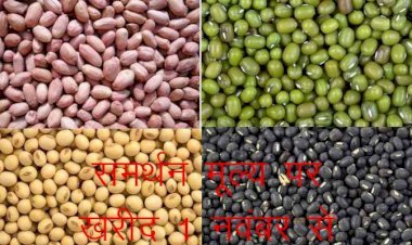 राजस्थान में मूंग, उड़द, सोयाबीन एवं मूंगफली के लिए ऑनलाइन पंजीयन कल से होगा शुरू, किसान भाई ई मित्र पर करा सकते है पंजीयन