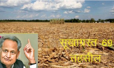 जालोर की 9 तो सिरोही के 2 तहसील में ही सरकार को नजर आया सूखा, खरीफ फसल पर 12 जिलों की 69 तहसील में सूखाग्रस्त घोषित