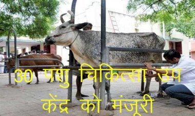 सरकार ने प्रदेश में 30 नवीन पशु चिकित्सा उप केंद्र खोलने और 43 के क्रमोन्नति को दी स्वीकृति, पाली व जालोर के उप केंद्र को पशु चिकित्सालय में किया क्रमोन्नत