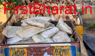 सिरोही से काजू की ​बि​ल्टी पर ट्रक में खैर की बेशकिमती  लकड़ी की कर रहे थे तस्करी, वन विभाग की टीम ने दबोचा