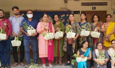 वन विभाग का दावा घर घर औषधि योजना के तहत सिरोही सहित प्रदेश के 14 जिलों में शत प्रतिशत लक्ष्य हासिल कर वितरित किए पौधे