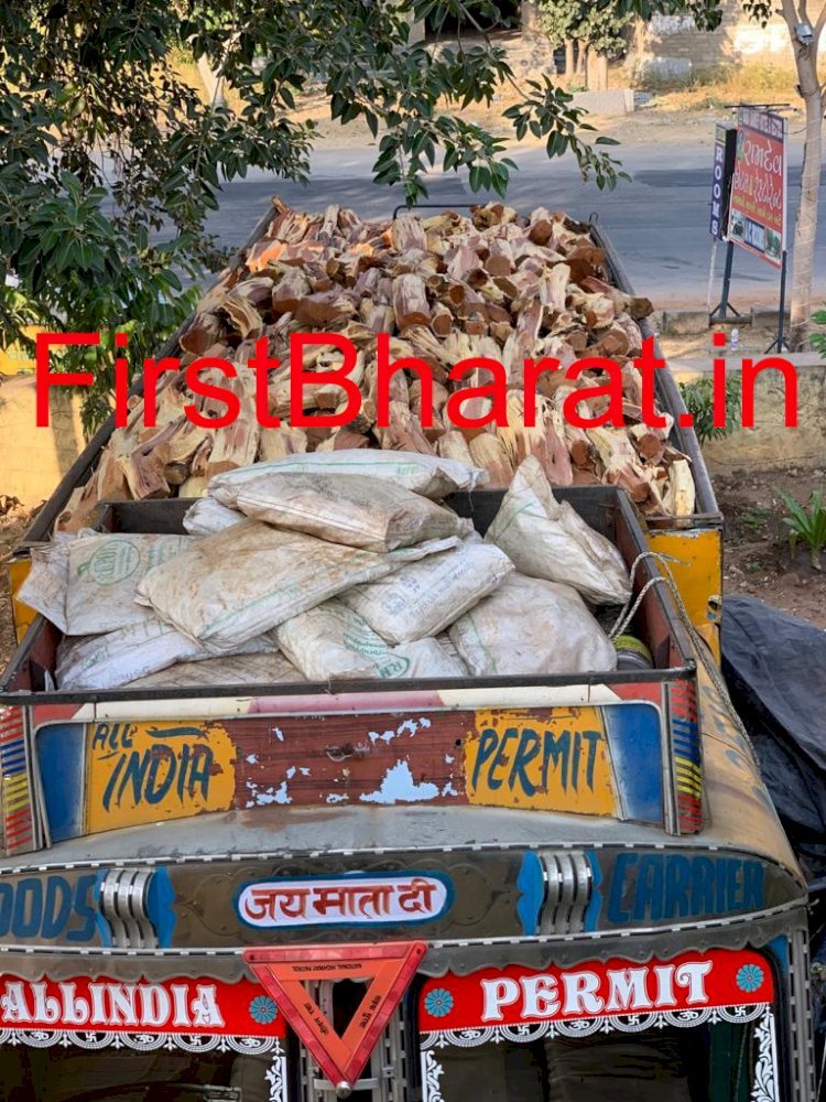 सिरोही से काजू की ​बि​ल्टी पर ट्रक में खैर की बेशकिमती  लकड़ी की कर रहे थे तस्करी, वन विभाग की टीम ने दबोचा