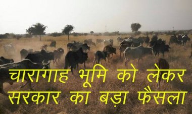 Rajasthan में चारागाह भूमि पर 30 वर्ष से घर बनाकर रह रहे परिवारों को  मिलेगा अधिकतम 100 वर्गमीटर का पट्टा, सिरोही विधायक ने उठाई थी मांग