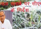 Chief Minister Ashok Gehlot ने प्रदेश में शीतलहर और ओलावृष्टि से फसलों के नुकसान पर आकलन करने के दिए निर्देश
