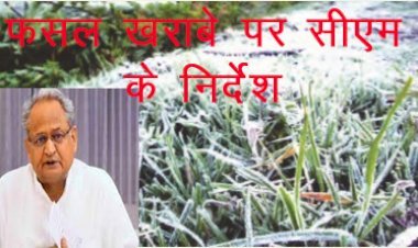 Chief Minister Ashok Gehlot ने प्रदेश में शीतलहर और ओलावृष्टि से फसलों के नुकसान पर आकलन करने के दिए निर्देश