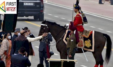 राष्ट्रपति राम नाथ कोविंद का बॉडीगार्ड और अंगरक्षक घोड़ा विराट को मोदी ने दी विदाई, राजधानी दिल्ली में विराट करता था राष्ट्रपति को एस्कॉर्ट