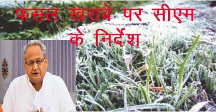 Chief Minister Ashok Gehlot ने प्रदेश में शीतलहर और ओलावृष्टि से फसलों के नुकसान पर आकलन करने के दिए निर्देश