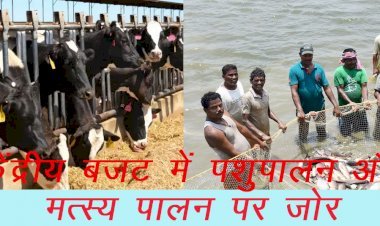 केंद्रीय बजट में मत्स्य पालन, पशुपालन और डेयरी मंत्रालय के बजट में 44 प्रतिशत की वृद्धि, 8 करोड़ दूध उत्पादक किसानों की बढ़ेगी आय
