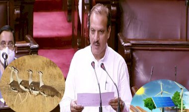 राज्य सभा सांसद नीरज डांगी ने गोडावन संरक्षण और अक्षय ऊर्जा परियोजनाओं की स्थापना में आ रही बाधा का संसद में उठाया मुद्दा