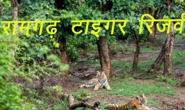 राजस्थान के बूंदी जिले में रामगढ़ विषधारी वन्यजीव अभयारण्य को टाईगर रिजर्व बनाए जाने की विधानसभा में सैद्धान्तिक स्वीकृति