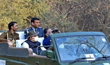 राज्यपाल कलराज मिश्र ने झालाना वन क्षेत्र का किया भ्रमण, झालाना सफारी में वन्यजीवों और वनस्पतियों पर की चर्चा