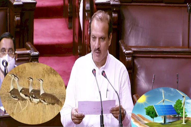 राज्य सभा सांसद नीरज डांगी ने गोडावन संरक्षण और अक्षय ऊर्जा परियोजनाओं की स्थापना में आ रही बाधा का संसद में उठाया मुद्दा