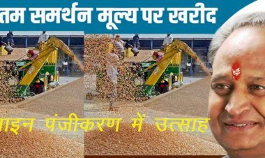 राजस्थान में पहली बार ऑनलाइन माध्यम से गेहूं खरीद प्रक्रिया शुरू, 3 दिनों में 300 से अधिक पंजीयन
