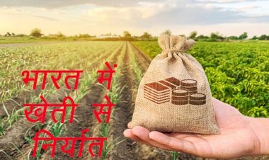 भारत से कृषि निर्यात 50 बिलियन डॉलर की ऐतिहासिक ऊंचाई पर, चावल, गेहूं, चीनी, अन्य अनाजों तथा मांस का सबसे अधिक निर्यात