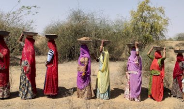 नया  रावला नाडा का होगा निर्माण , पशु-पक्षियों को  मिलेगा नीर 