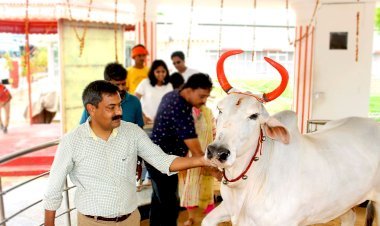 अपंग पशुधन को नया जीवन दे रहे हैं डॉ. तपेश माथुर, कृष्णा लिम्ब नाम से कृत्रिम अंगों के माध्यम से पीड़ित जीवों की मदद कर रहे हैं डॉ. और उनकी पत्नी क्षिप्रा