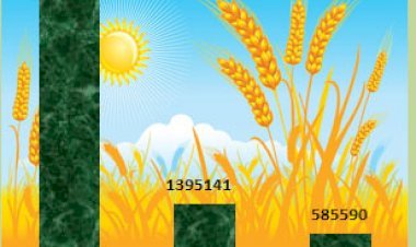 एमएसपी मूल्य पर किसानों से सरकार ने राजस्थान सहित 9 राज्यों में खरीदा 69 एलएमटी गेहूं