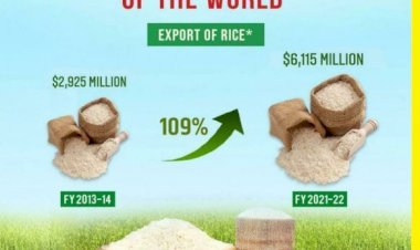 भारत से विदेशों में चावल के निर्यात में 109 प्रतिशत रिकॉर्ड, 6115 मिलियन डॉलर तक जा पहुंचा निर्यात