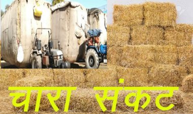 राजस्थान में पशुओं के चारे का संकट आने पर भाजपा प्रदेशाध्यक्ष पूनिया ने हरियाणा और मध्यप्रदेश के सीएम को लिखा पत्र
