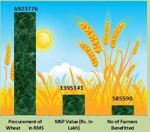 एमएसपी मूल्य पर किसानों से सरकार ने राजस्थान सहित 9 राज्यों में खरीदा 69 एलएमटी गेहूं