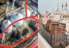 ज्ञानव्यापी मस्जिद का सर्वे पूरा, शिवलिंग मिलने के बाद कोर्ट का आदेश, केवल 20 लोग ही कर सकेंगे नमाज अदा 