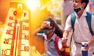 राजस्थान सरकार ने घोषित की कल से सभी स्कूलों में छुट्टी