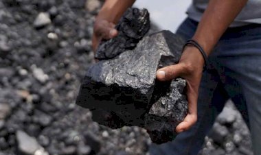 राजस्थान बिजली संकट के लिए बड़ी खबर, परसा खदान परियोजना के सामने लगी सभी पांचों याचिका उच्च न्यायालय में खारिज